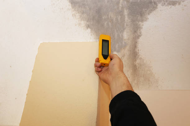 Best Mold Removal for HVAC Installations  in Kings Bay Base, GA