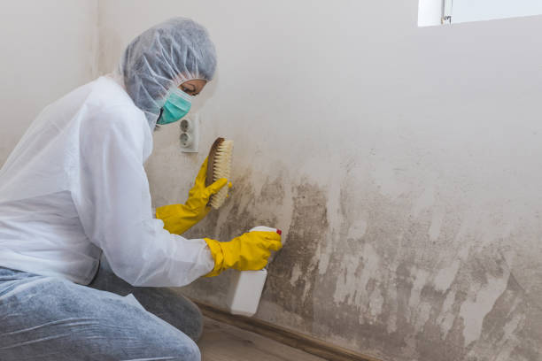 Best Air Quality Testing for Mold Spores  in Kings Bay Base, GA