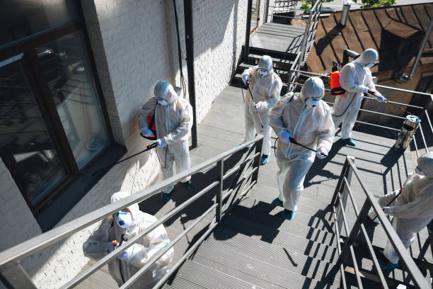 Mold Remediation for Rental Properties in Kings Bay Base, GA