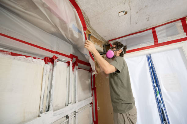 Best Biohazard Mold Removal  in Kings Bay Base, GA