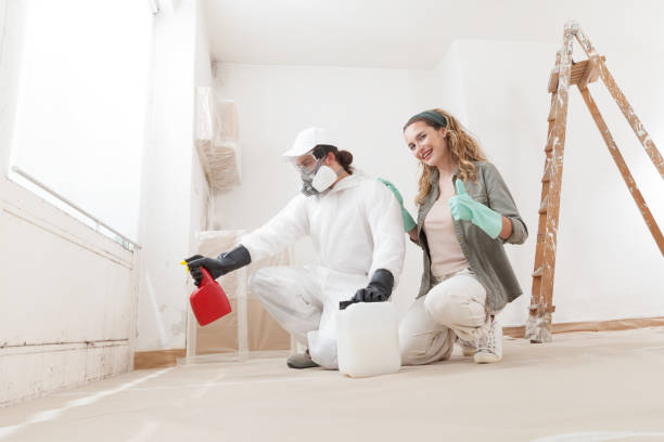 Best Comprehensive Air Testing for Mold Contaminants  in Kings Bay Base, GA