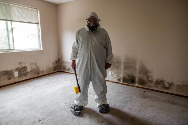 Best Crawl Space Mold Remediation  in Kings Bay Base, GA