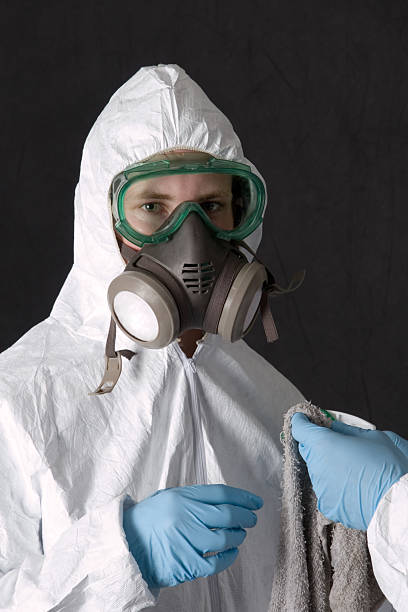 Best Black Mold Removal  in Kings Bay Base, GA